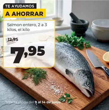 Salmon Entero