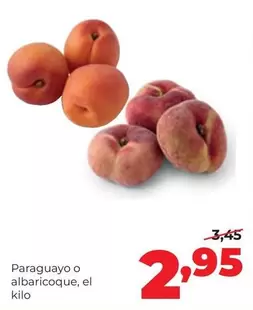 Paraguayo O Albaricoque