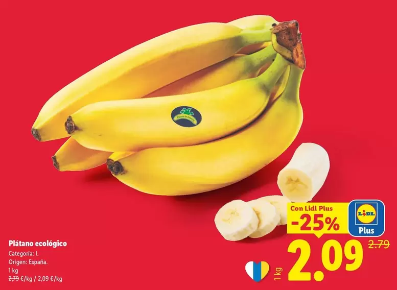 Plátano Ecológico