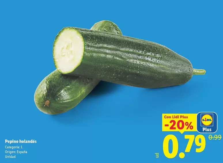 Pepino Holandés