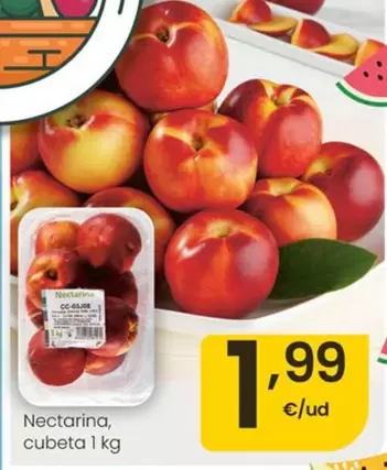Nectarina Cubeta