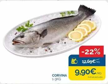 Corvina