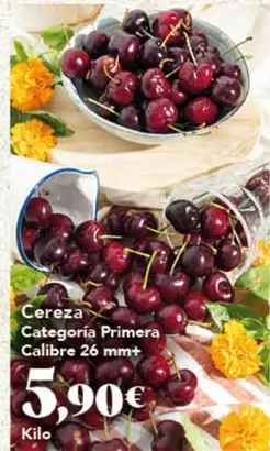 Cereza Categoria Primera Calibre 26 Mm+