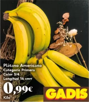 Platano Americano Categoria Primera Color 3/4