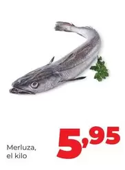 Merluza
