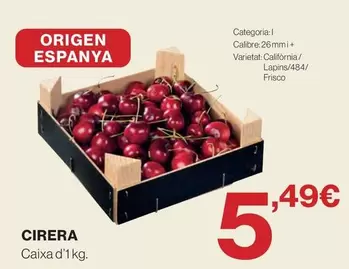 origen - Cirera
