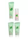 Aloe Vera Mint & Melon Care Set