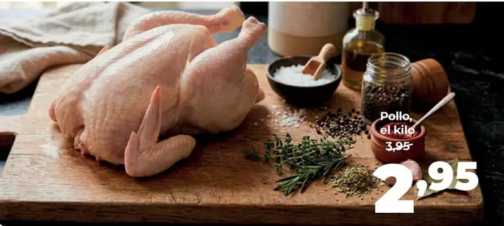 Pollo