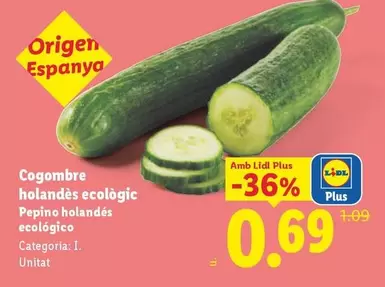 Pepino Holandes Ecologico