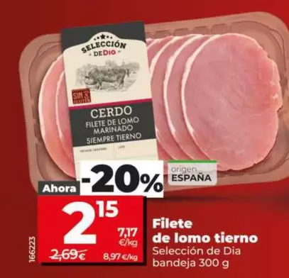 Seleccion De Dia - Filete De Lomo Tierno