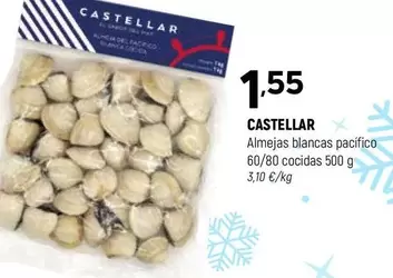 Castellar - Almeja Blancas Pacifica