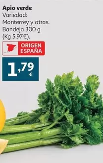 Apio Verde