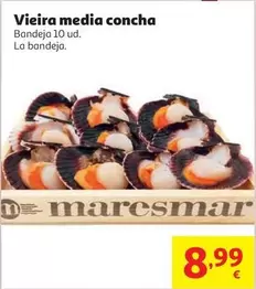 Vieira Media Concha