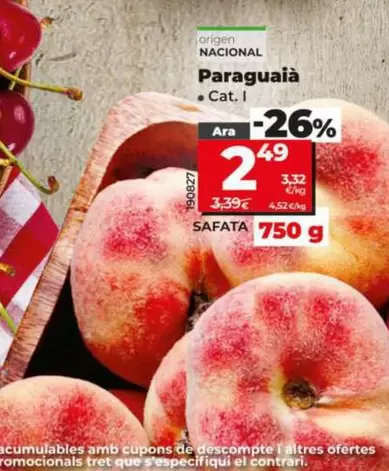 Paraguayo