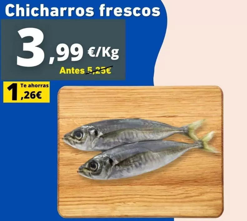 Chicharros Frescos