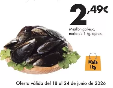 Mejillón Gallego