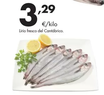 Lirio Fresco Del Cantábrico