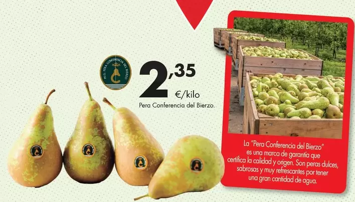 Pera Conferencia Del Bierzo