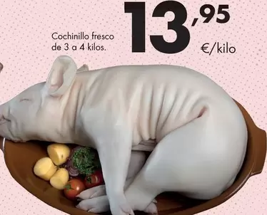 Cochinillo Fresco