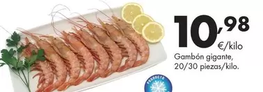 Gambón Gigante, 20/30 Piezas