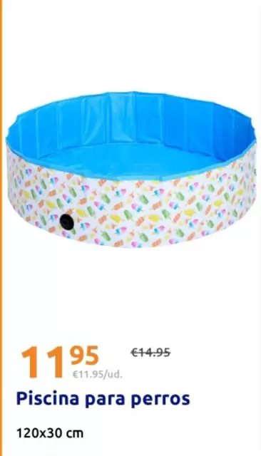 Piscina Para Perros