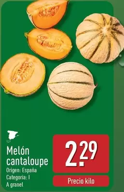 Melon Cantaloupe