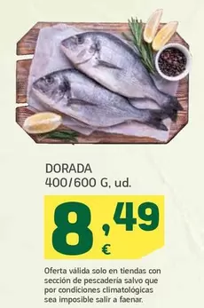 Dorada 400/600