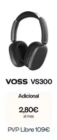 Vs300