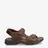 Salton Basics