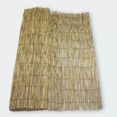Bambú Pelado - 1X5M