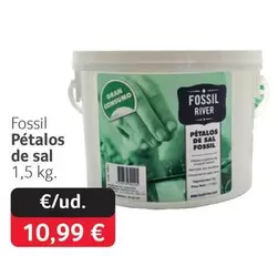 Fossil - Possil Pétalos De Sal