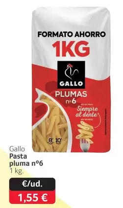 Gallo - Pasta Pluma