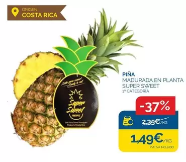 origen - Pina Madurada En Planta Super Sweet
