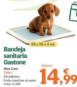 Nice Care - Bandeja Sanitaria Gastone