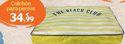 Summer Vibes - Colchón Para Perros