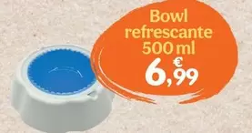Summer Vibes - Bowl Refrescante