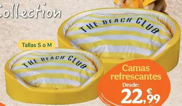 Summer Vibes - Camas Refrescantes