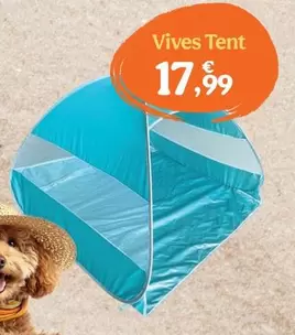 Summer Vibes - Vives Tent