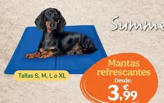 Summer Vibes - Mantas Refrescantes