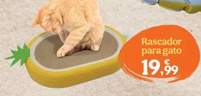 Rascador Para Gato