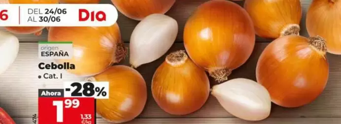 Cebolla 