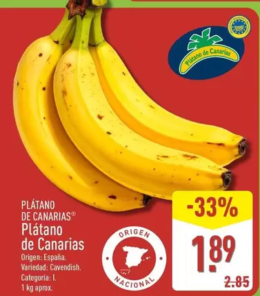Platano De Canarias