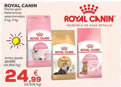 Royal Canin - Pienso Gato