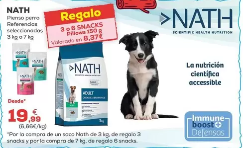 Nath - Pienso Perro