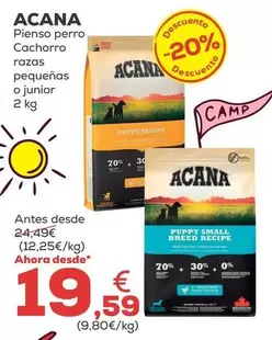 Acana - Pienso Perro Cachorro Razas Pequenas