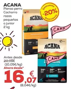 Acana - Pienso Perro Cachorro Razas Pequenas