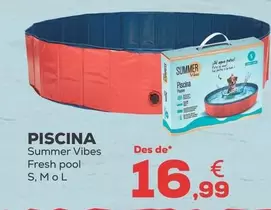 Summer Vibes - Pisicina Fresh Pool