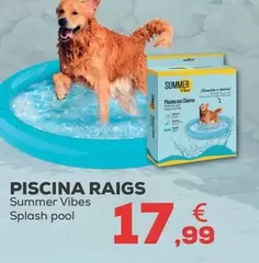 Summer Vibes - Piscina Chorros Pool