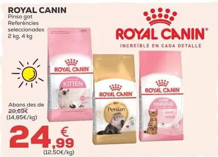 Royal Canin - Pienso Gato