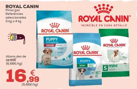 Royal Canin - Pienso Perro 